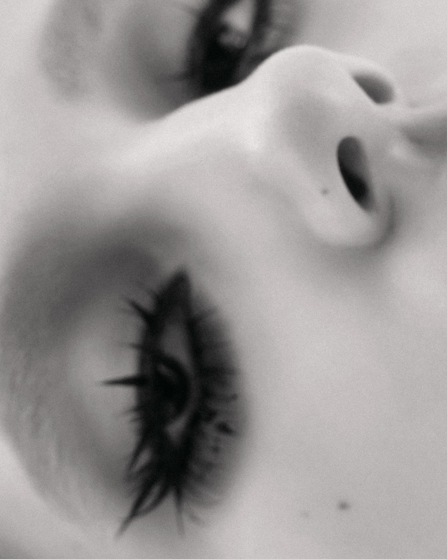 Work 019